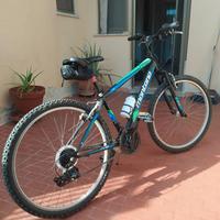 bicicletta MTB ragazzo