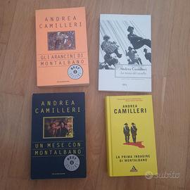 4 libri di camilleri