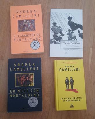 4 libri di camilleri