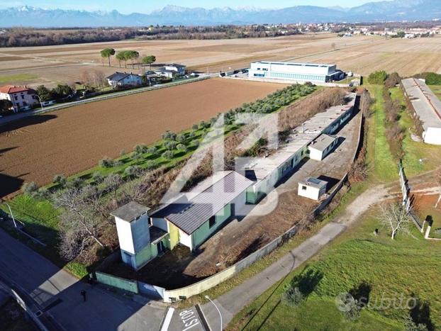 CAPANNONE - 3062M² - VIA COOPERAZIONE, 223 COSEANO