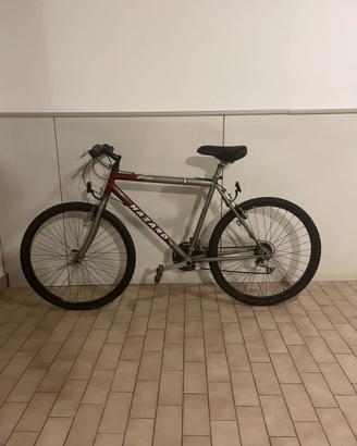 Bici Mtb