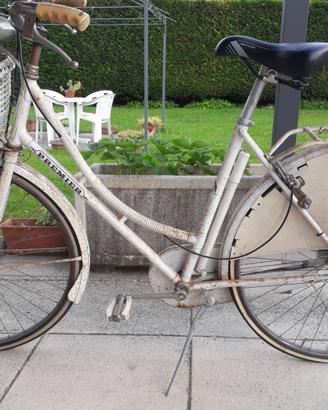 Bici donna Premier