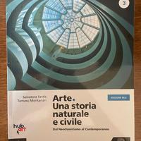 Libro di Storia dell'Arte