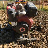 Motozappa 10 cv diesel accensione elettronica