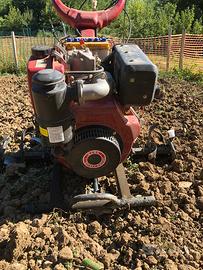 Motozappa 10 cv diesel accensione elettronica