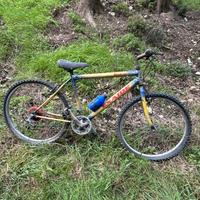Bici uomo