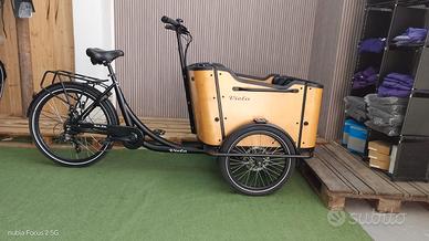Cargo Bike Curvy pedalata assistita Usata 