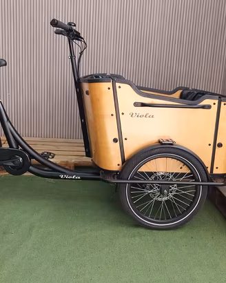 Cargo Bike Curvy pedalata assistita Usata 