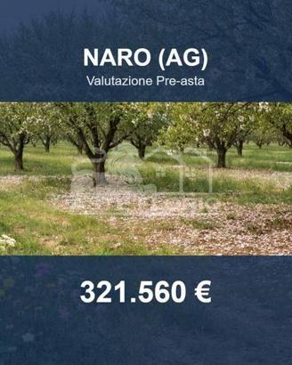 Immobile in asta di 155371 m² a Naro
