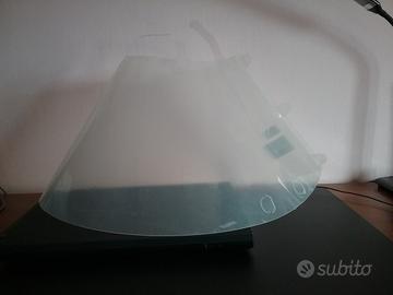 collare elisabettiano