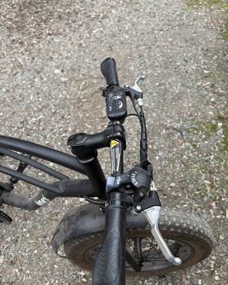 Bici elettrica