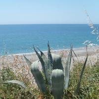 Splendida Casa Vacanza al MARE