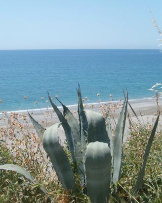 Splendida Casa Vacanza al MARE