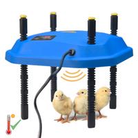 CHIOCCIA PER PULCINI RISCALDANTE NASCITA NIDO