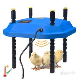 CHIOCCIA PER PULCINI RISCALDANTE NASCITA NIDO