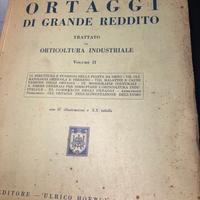 Agricoltura Ortaggi 1937