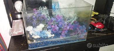 acquario 20 litri 