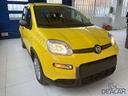 fiat-panda-1-0-firefly-s-s-hybrid-pop