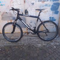 bicicletta da uomo