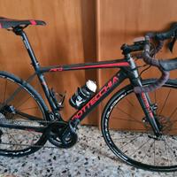 Bottecchia RD Domina