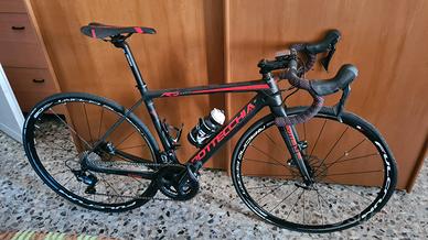 Bottecchia RD Domina