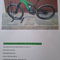 ebike