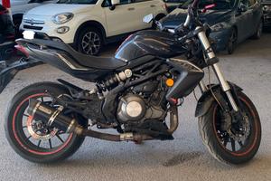 Benelli bn 302 2015