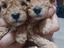 Immagine 5