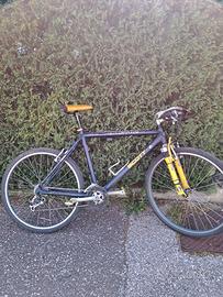 montainbike scott