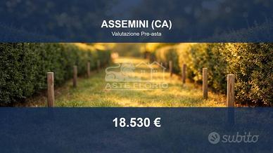 Immobile in asta di 3164 m² a Assemini