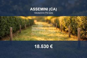 Immobile in asta di 3164 m² a Assemini