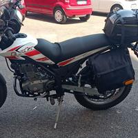 moto Beta Alp 200