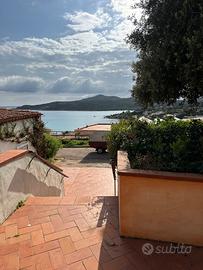 Piccolo pevero portocervo monolocale