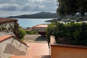 Piccolo pevero portocervo monolocale