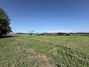 terreno-a-san-bonifacio-vr-