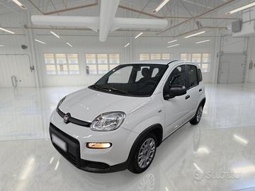 FIAT PANDA 1.0 FIREFLY 70 CV SES HYBRID 5 PORTE BE