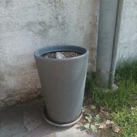 vaso in plastica dura 