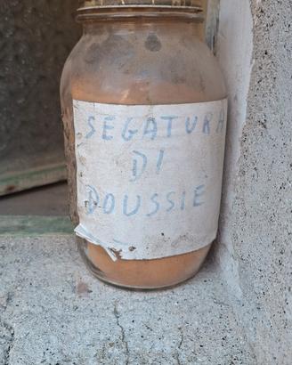 Segatura di Doussé