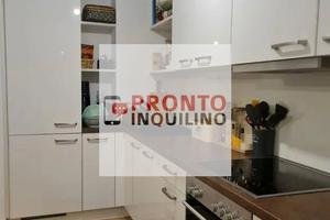 Bilocale ristrutturato segrate (mi)