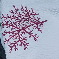 copriletto matrimoniale bianco con disegno Corallo