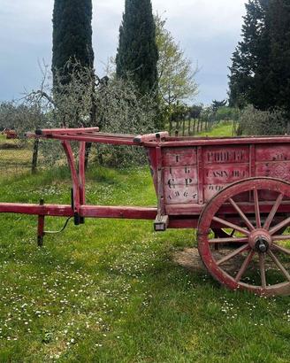 Carro Agricolo in buonissime condizioni