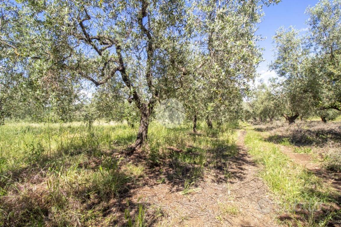 TER. AGRICOLO A MORICONE - Vista 3