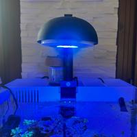 Acquario marino nano reef