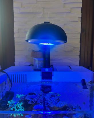 Acquario marino nano reef