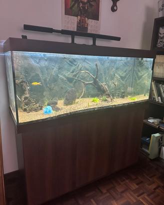 Acquario juwel 400 l