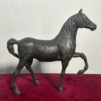 Cavallo Ferro XX