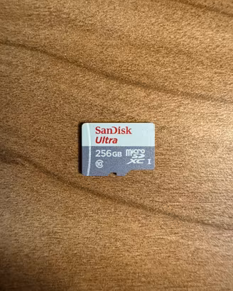 Sandisk 256gb ultra