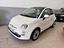 Immagine 1