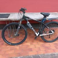 bicicletta focus Germania engineered