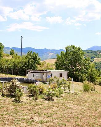 Terreno agricolo